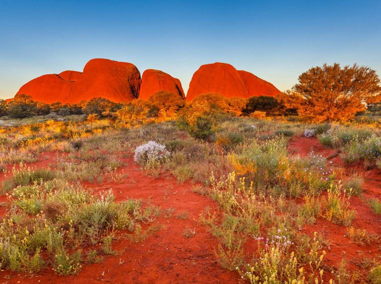 Uluru On the Go: Transport Logistics for Your Outback Escape