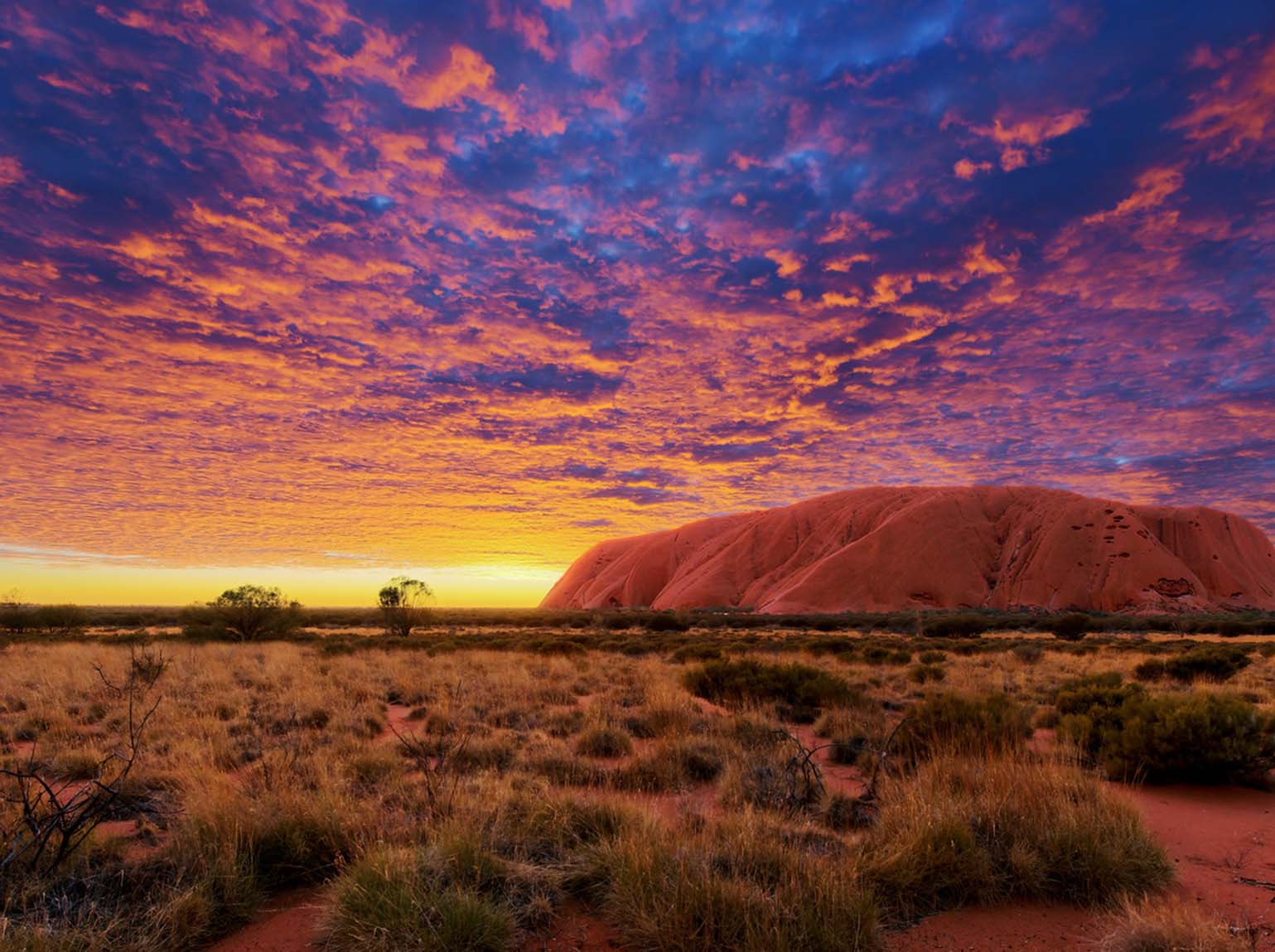 Uluru Unveiled: Insider Tips for Your Ultimate Adventure
